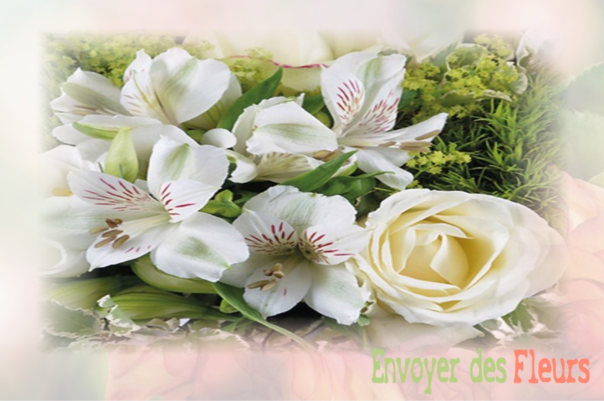 envoyer des fleurs à à SAINTE-COLOMBE-SUR-L-HERS